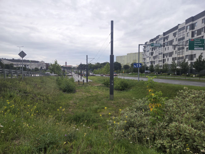 Tędy za dwa lata pojadą tramwaje. Na Szwederowie rozpoczęła się budowa nowej trasy tramwajowej