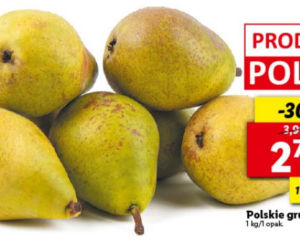 Mega promocje w Lidlu od 1.03