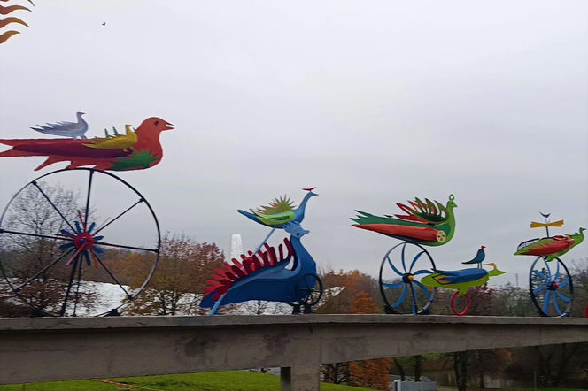 "Ogniste Ptaki" w Parku Kasprowicza w Szczecinie