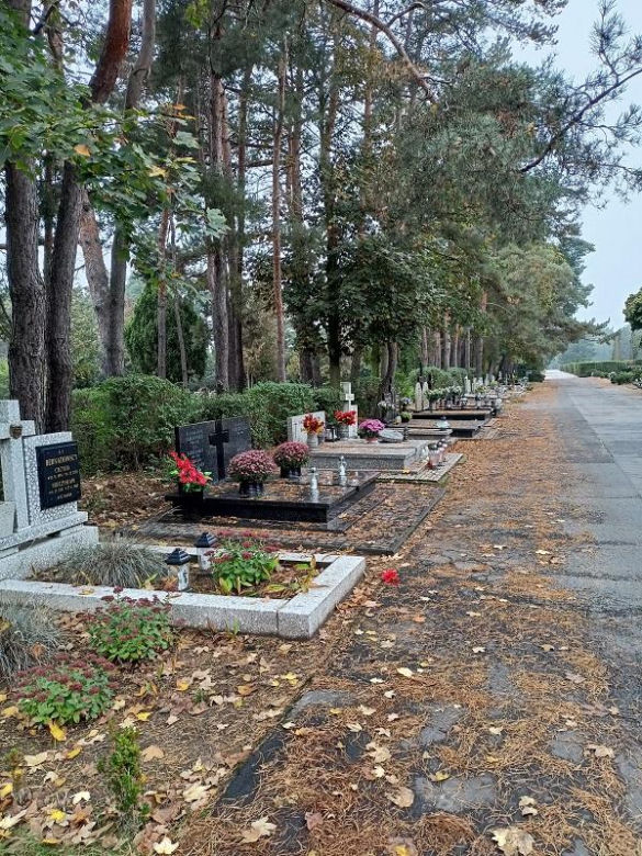 Cmentarz Junikowo Poznań