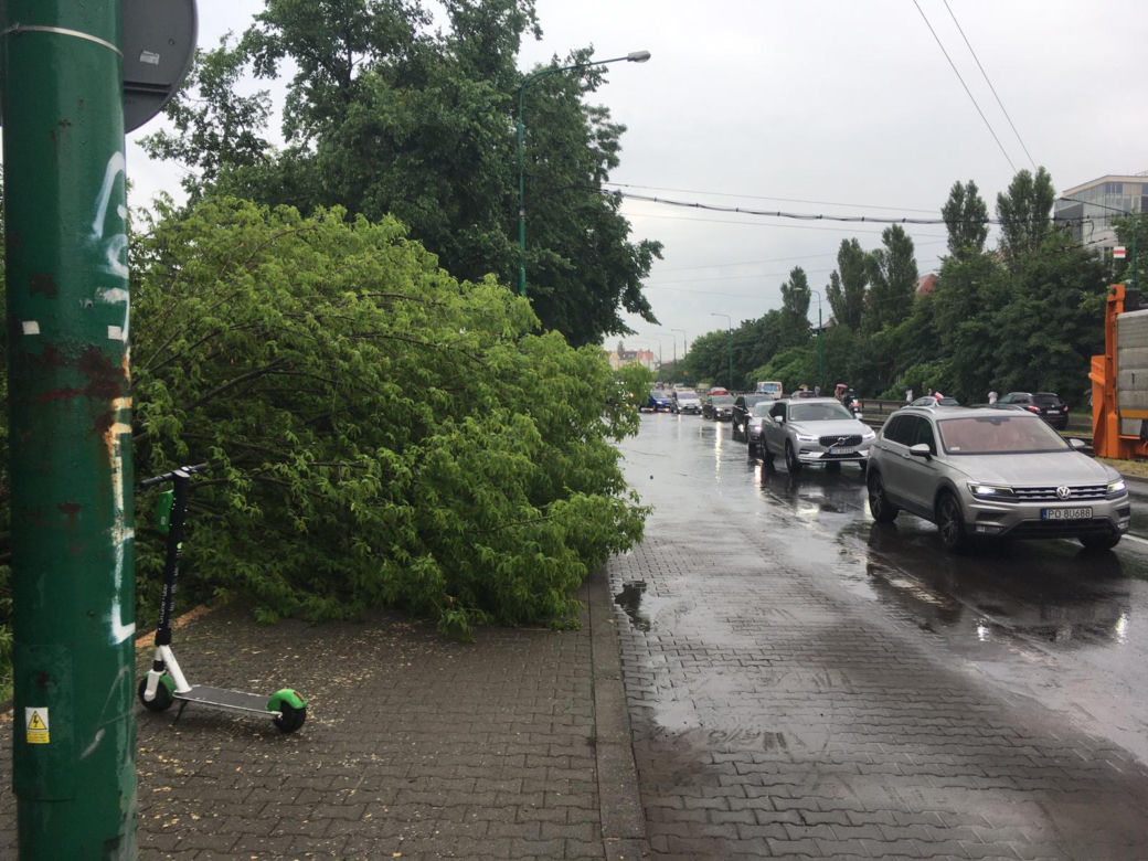 Zalany Poznań i okolice