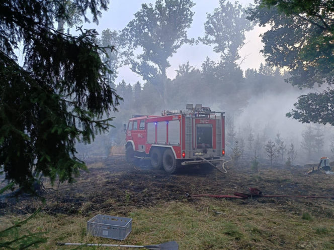 Pożary na Dolnym Śląsku jeden po drugim. Leśnicy pokazali nagranie i apelują!