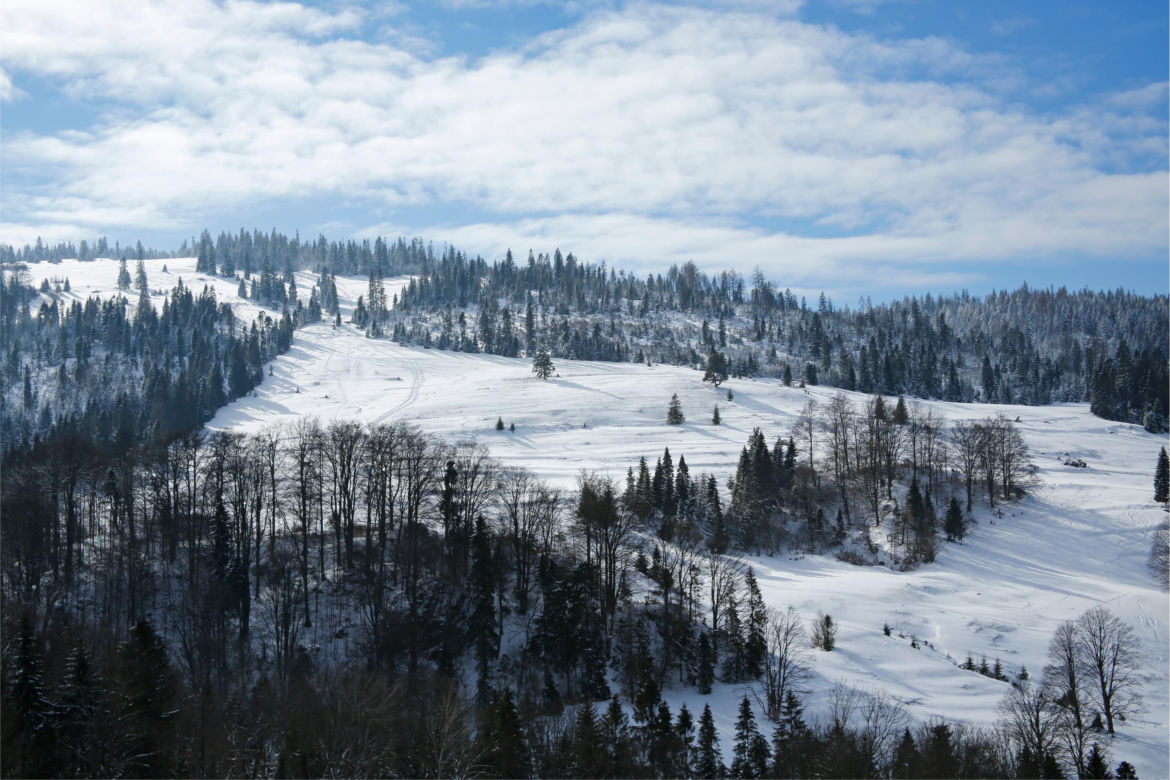 Szczawnica
