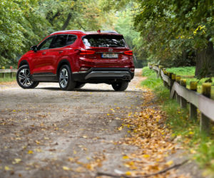 Hyundai Santa Fe 2.0 CRDi 185 KM 8AT 4WD Platinum
