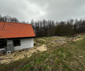 Zabrali dzieciom psa jak rzecz