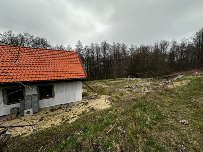 Zabrali dzieciom psa jak rzecz