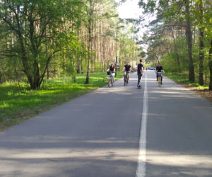 Wiosna w Myślęcinku