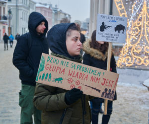 Lublin: Protest w obronie dzików. „Nie dla myśliwych”