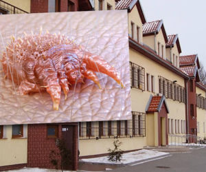 Świerzb zaatakował ośrodek dla cudzoziemców w Kętrzynie. Do tej pory nie mieliśmy takiego przypadku