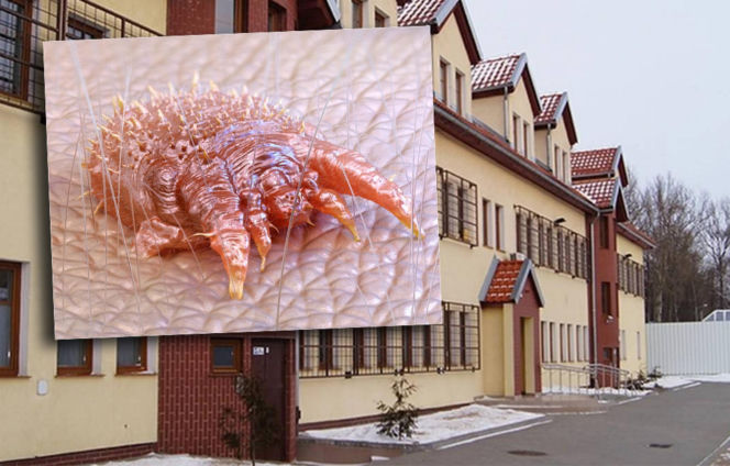 Świerzb zaatakował ośrodek dla cudzoziemców w Kętrzynie. Do tej pory nie mieliśmy takiego przypadku