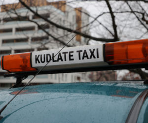 Kudłate Taxi. Jedyna taka taksówka w Warszawie