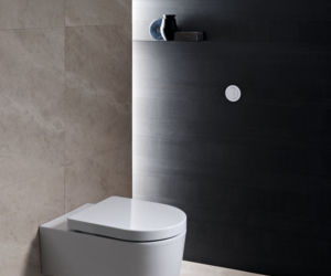 przycisk spłukujący WC