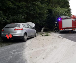 Zderzenie osobówki z ciężarówką w Antoniewie! Droga zablokowana! [ZDJĘCIA] 