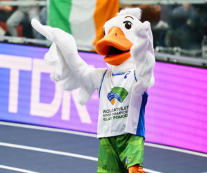 Halowe Mistrzostwa Świata w Lekkoatletyce Kujawy Pomorze 26 w Toruniu: Zdjęcia kibiców i zawodników z soboty, 2. dnia imprezy