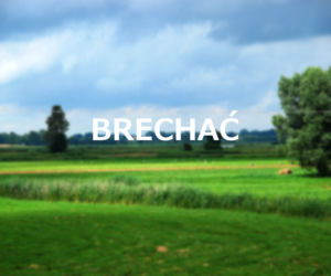 Brechać