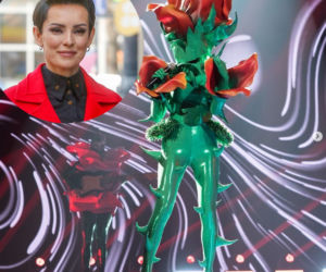 Kto skrywa się pod przebraniami show TVN?