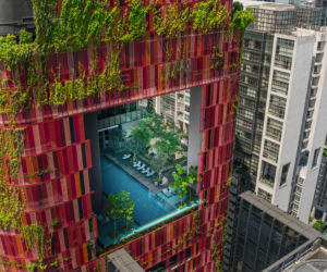 Zielone fasady odmieniają miasta