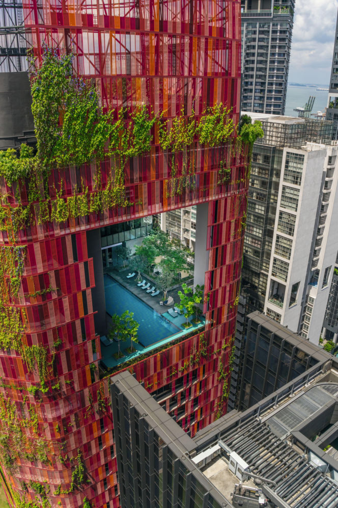 Zielone fasady odmieniają miasta