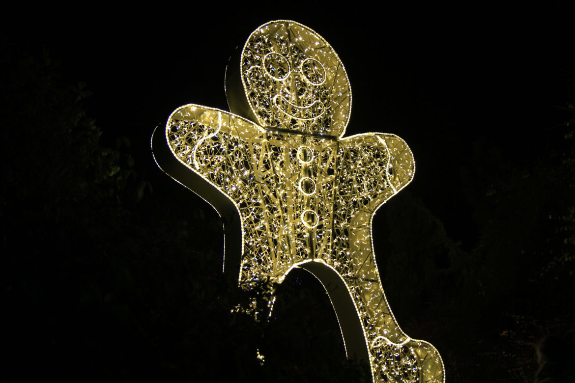 Park iluminacji „Tajemniczy Ogród” w Lublinie