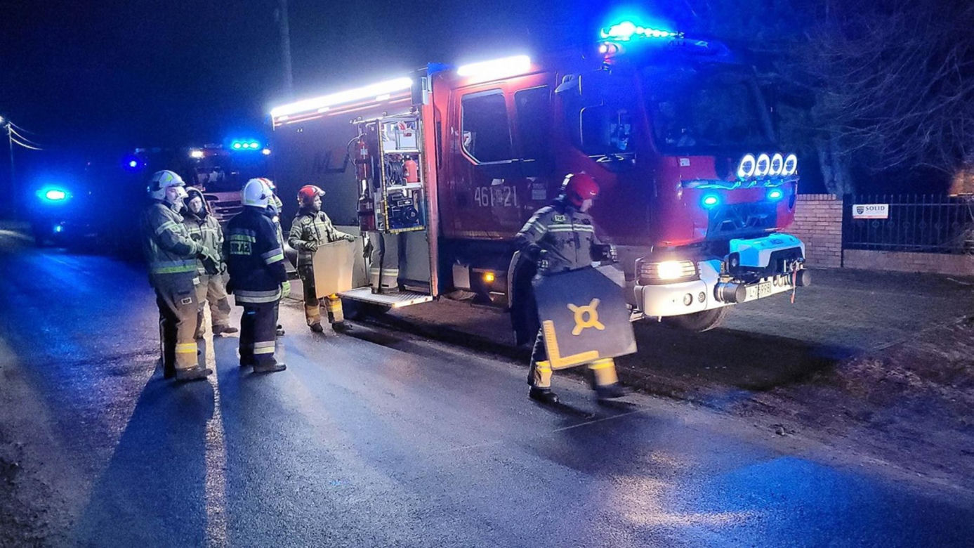 Dąb zabił emeryta. Potężne drzewo runęło na 82-latka