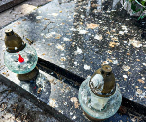 Ptasi terror w Jezioranach! Cmentarz tonie w odchodach, a mieszkańcy są bezradni. „Groby trzeba owijać folią!”