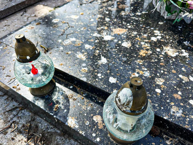 Ptasi terror w Jezioranach! Cmentarz tonie w odchodach, a mieszkańcy są bezradni. „Groby trzeba owijać folią!”