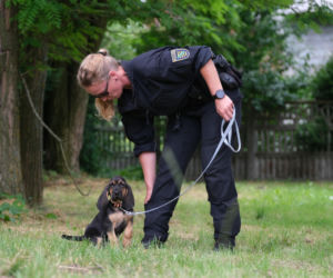 Ruszył proces cioci Jacka Jaworka. Śledczy: ukrywała trzykrotnego zabójcę