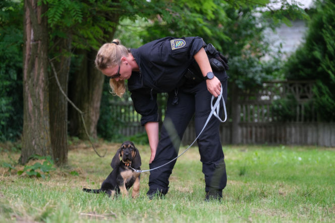 Ruszył proces cioci Jacka Jaworka. Śledczy: ukrywała trzykrotnego zabójcę