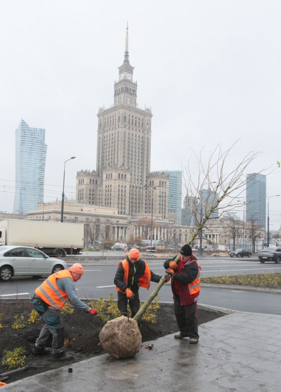 Trzaskowski przedstawił nową pełnomocniczkę. Posadzili razem pierwsze drzewo na rondzie Dmowskiego