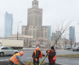 Trzaskowski przedstawił nową pełnomocniczkę. Posadzili razem pierwsze drzewo na rondzie Dmowskiego