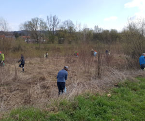Sprzątanie brzegów Kamienicy