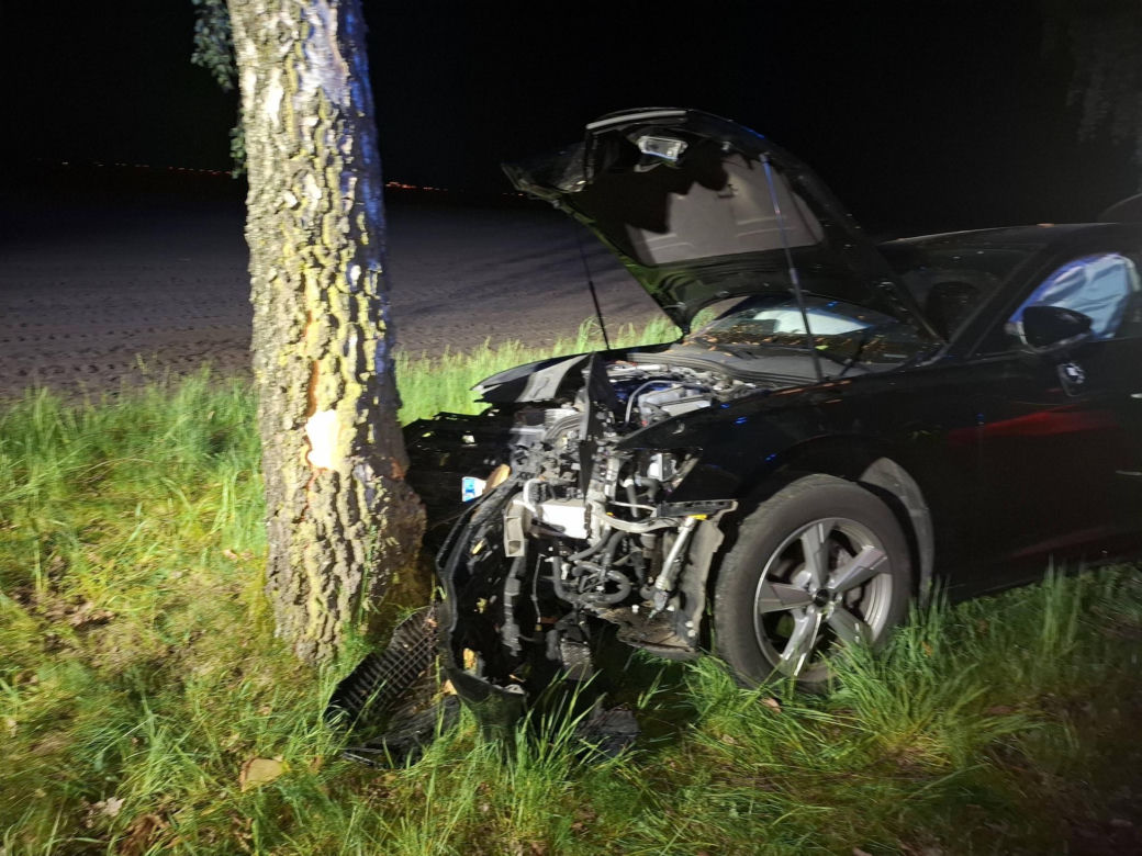Kościaniak uderzył autem w drzewo. Chciał uniknąć zderzenia z sarną [ZDJĘCIA]