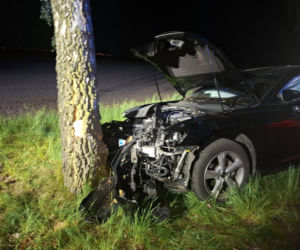 Kościaniak uderzył autem w drzewo. Chciał uniknąć zderzenia z sarną [ZDJĘCIA]