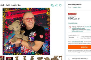 Kultowy miś z dobranocki z PRL-u na licytacji WOŚP. Cena już jest zawrotna
