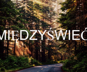 Międzyświeć