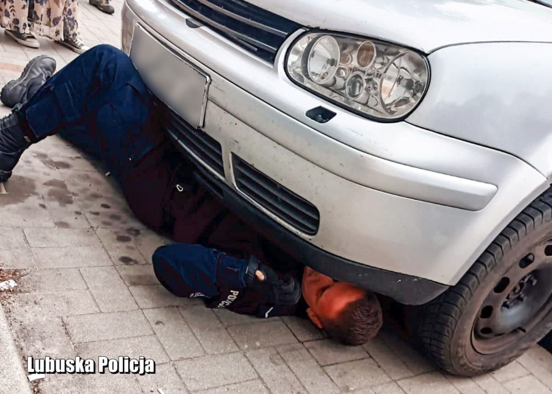 Nowa Sól. Mały kotek utknął w aucie, ale nigdy nie zgadniecie gdzie! Ratowali go policjanci [ZDJĘCIA]
