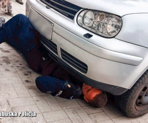 Nowa Sól. Mały kotek utknął w aucie, ale nigdy nie zgadniecie gdzie! Ratowali go policjanci [ZDJĘCIA]
