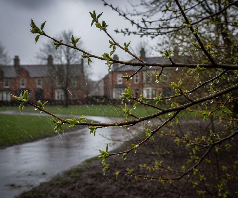 Pogoda na weekend w Lublinie 24-26 kwietnia. Załamanie pogody nadejdzie w ten dzień 