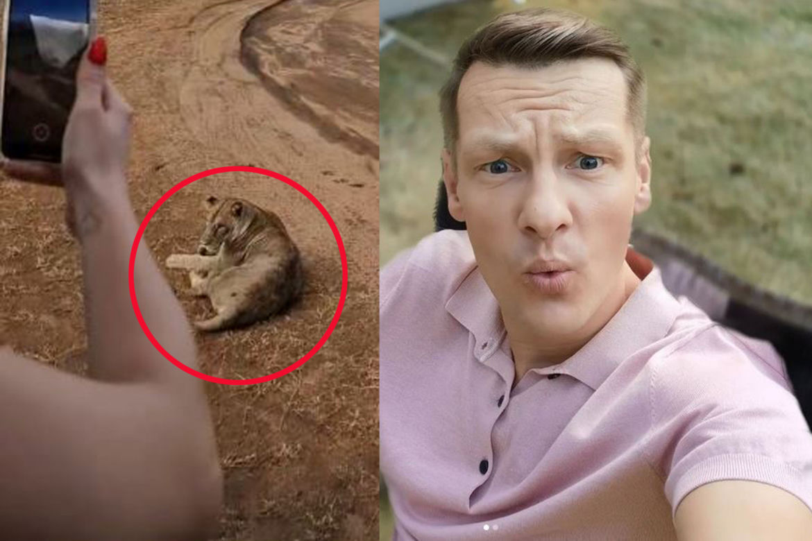 Marcin Mroczek oko w oko z lwem