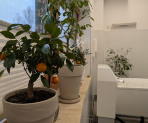 Muzyka, kwiaty i ciepła kąpiel. Tarnowskie hospicjum Via Spei z wyjątkową strefą relaksu