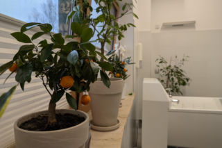 Muzyka, kwiaty i ciepła kąpiel. Tarnowskie hospicjum Via Spei z wyjątkową strefą relaksu