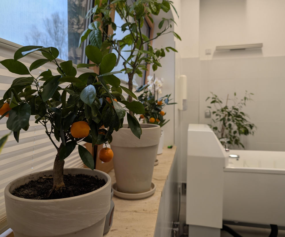 Muzyka, kwiaty i ciepła kąpiel. Tarnowskie hospicjum Via Spei z wyjątkową strefą relaksu