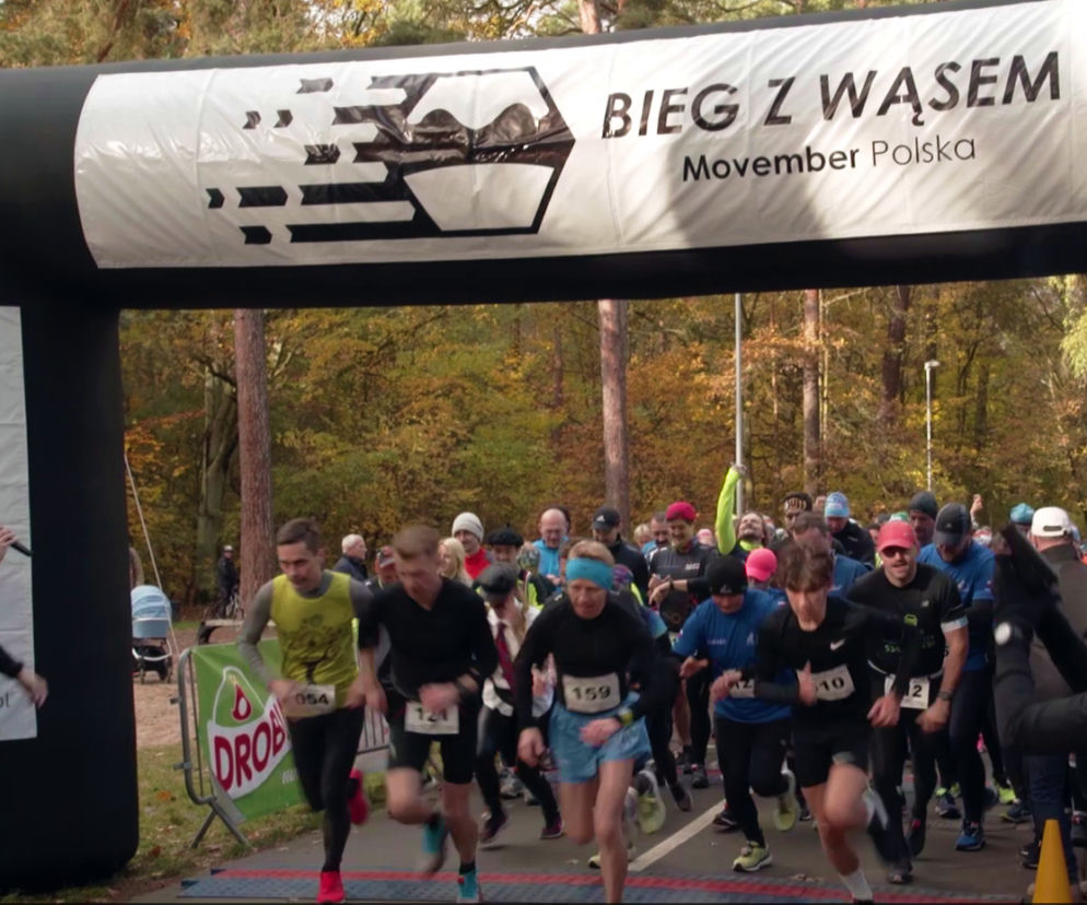 Movember - bieg z wąsem