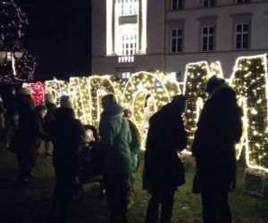 Rozbłysła wiąteczna iluminacja Radomia