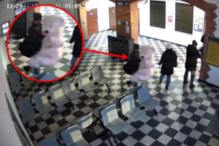 Niecodzienna kradzież na dworcu PKP. Złodziej ukradł gigantycznego... pluszowego misia! 