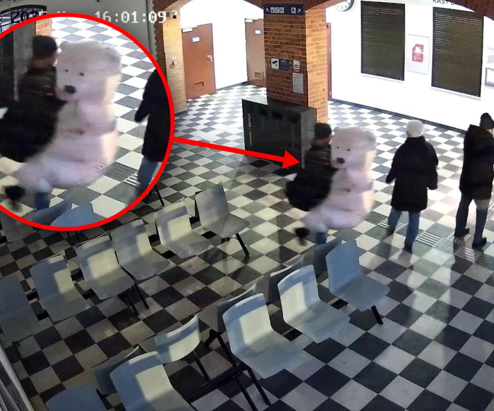 Kradzież pluszowego misia w Szczecinku