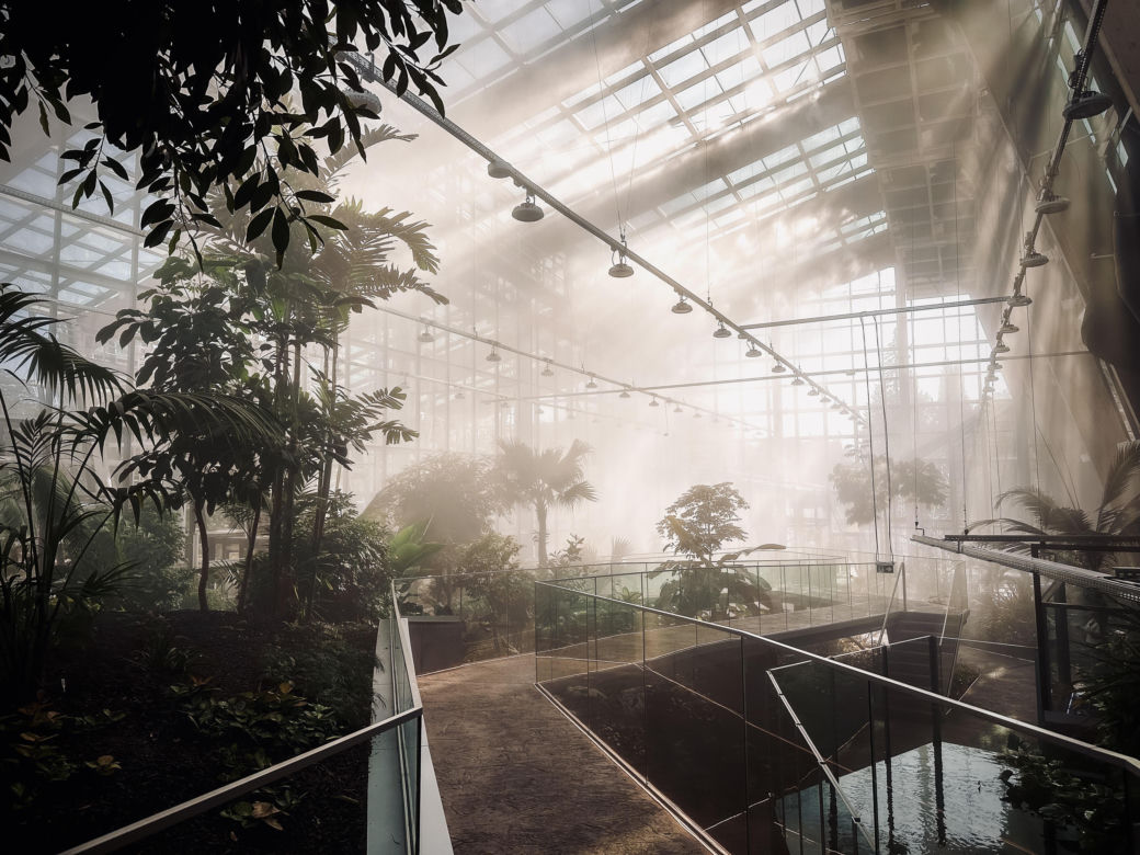 Nowe Egzotarium w Sosnowcu