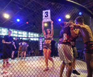 Fotorelacja z Gali Sportów Walki Taurus Fight Arena 2026 w Siedlcach