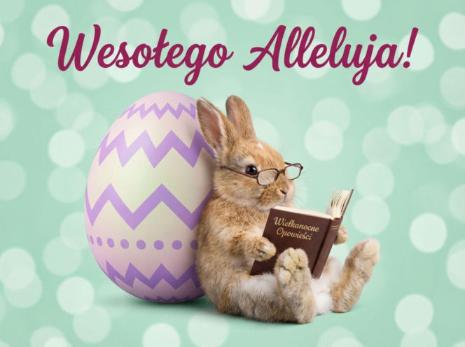 Wielkanoc2026-zajaczek-czytajacy-ksiazke