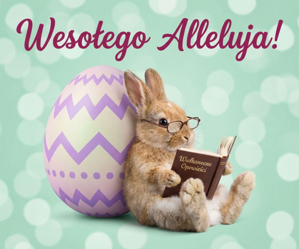 Wielkanoc2026-zajaczek-czytajacy-ksiazke